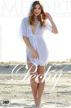t_cover_D20EB503D1FA84E49946BB9D30F7BF7E.jpg