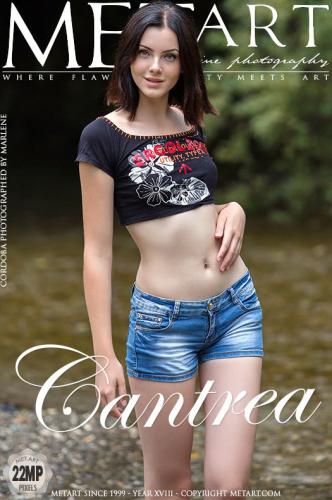 cover_A6F7240C2DF0ABF4B5F5B30A8C55CF78.jpg