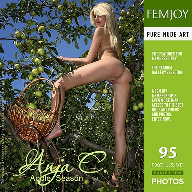 cover2_384x384.jpg